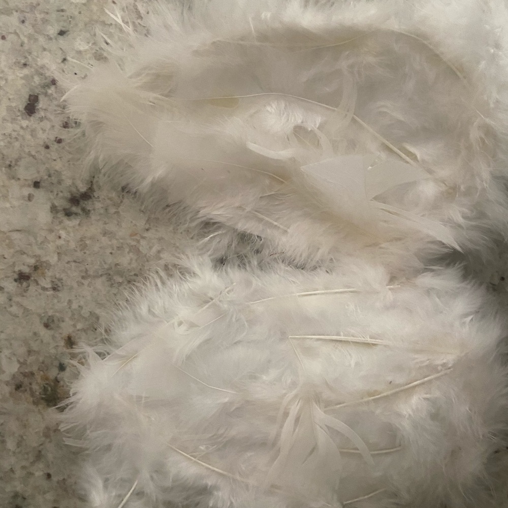 Angel wings newborn outfit